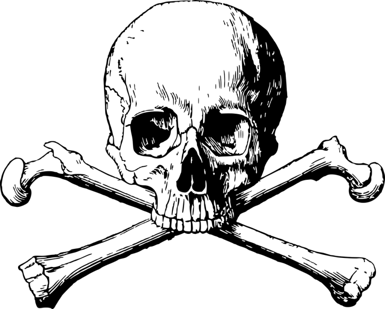 skull and cross bone images military